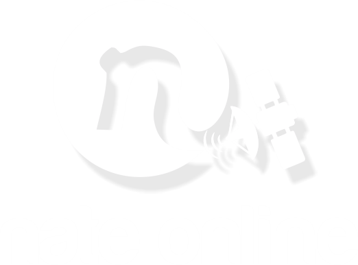 Nate Online